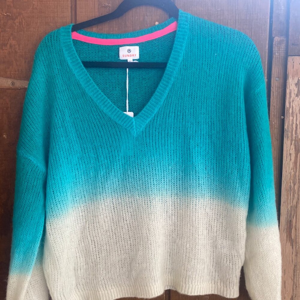Sundry Wool and Cashmere V Neck Sweater